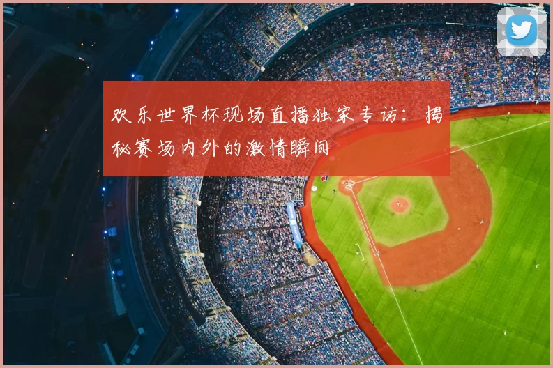 欢乐世界杯现场直播独家专访:揭秘赛场内外的激情瞬间