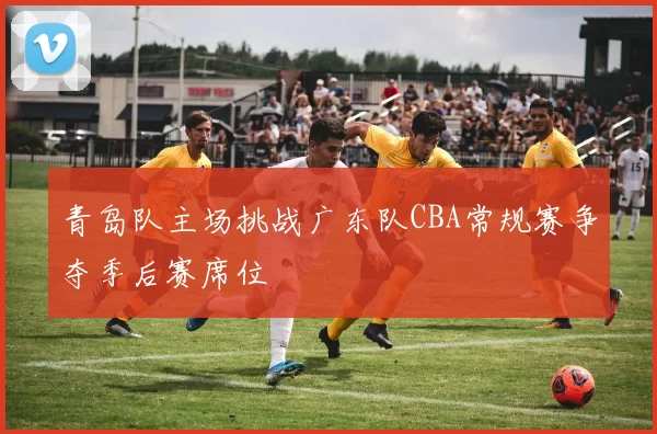 青岛队主场挑战广东队CBA常规赛争夺季后赛席位