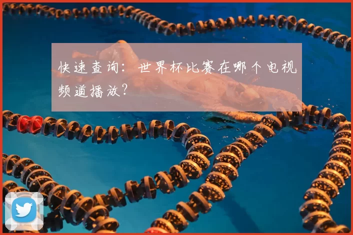 快速查询：世界杯比赛在哪个电视频道播放？