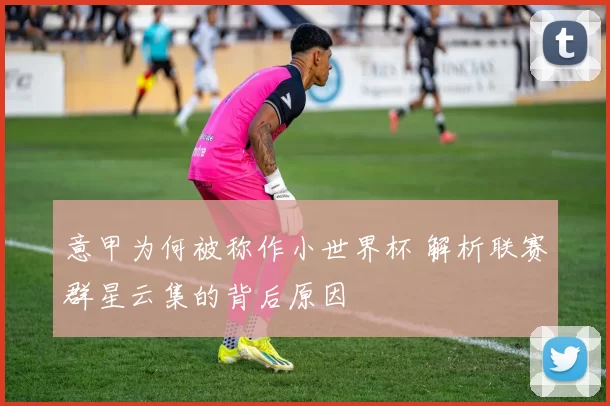 意甲为何被称作小世界杯 解析联赛群星云集的背后原因