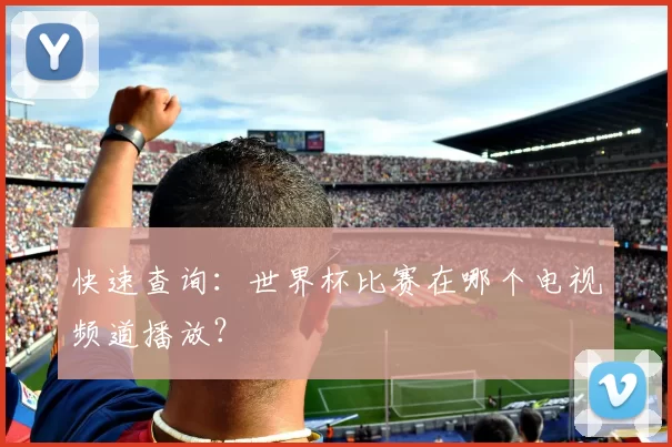 快速查询:世界杯比赛在哪个电视频道播放?