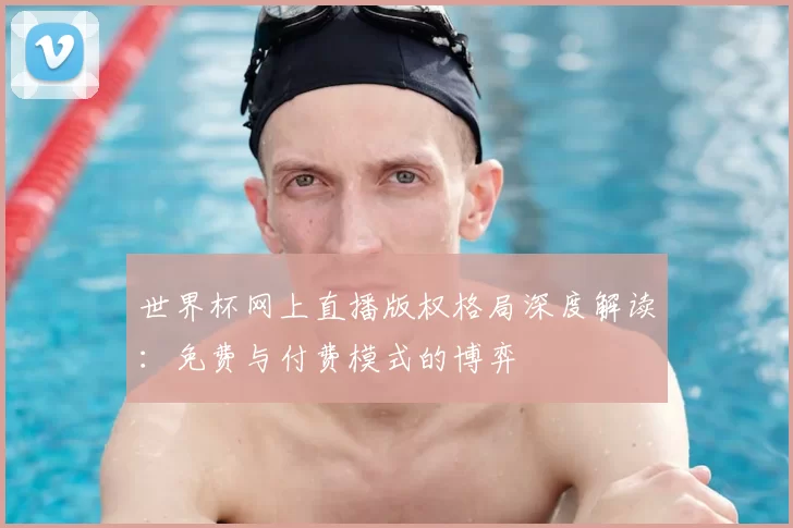 世界杯网上直播版权格局深度解读：免费与付费模式的博弈