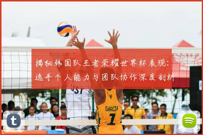 揭秘韩国队王者荣耀世界杯表现：选手个人能力与团队协作深度剖析