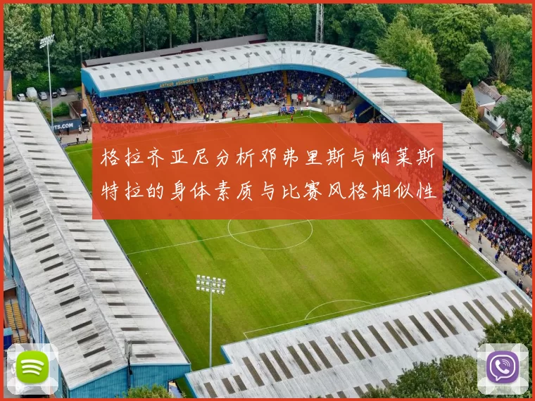 格拉齐亚尼分析邓弗里斯与帕莱斯特拉的身体素质与比赛风格相似性