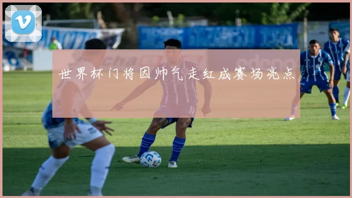 世界杯门将因帅气走红成赛场亮点